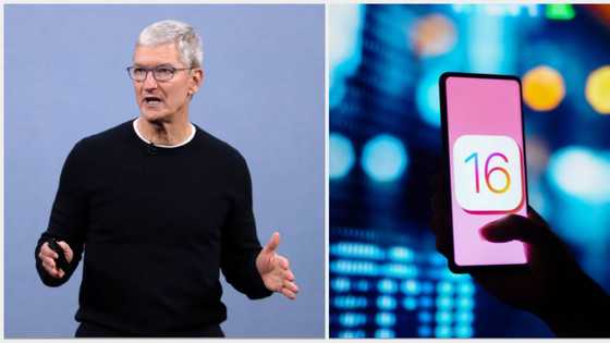List of new apps on iOS 16 as Apple makes it available to millions of iPhone users globally