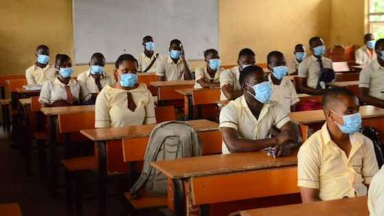 WAEC blacklists 30 schools over examination malpractice