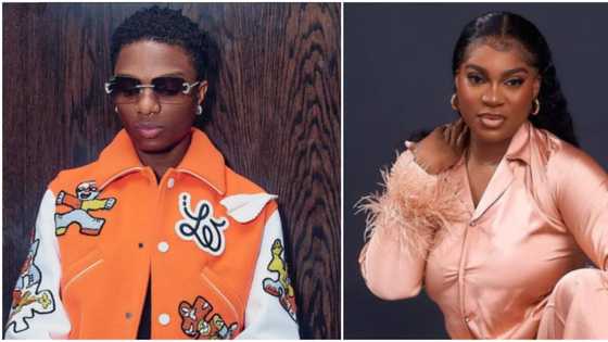 "Wizkid is not the best lyrically": BBTitans Jenni O sparks heated reactions online, video goes viral