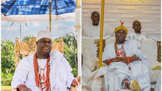 Ooni of Ife’s biography: age, wives, children, net worth, palace