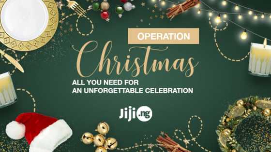 Operation Christmas: all you need for an unforgettable celebration