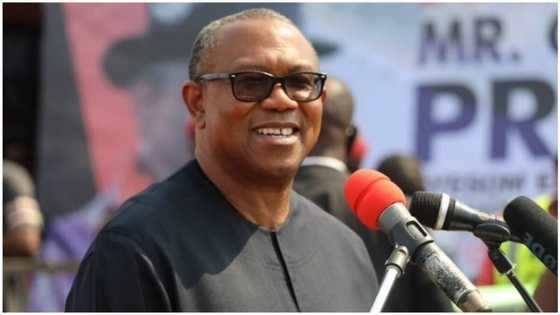 2023: What I will do if elected as president, Peter Obi makes new promise