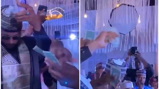 Bidiyoyin: Yadda Matasa Suka Yi Ruwan Liki Harda Su Daloli A Wajen Shagalin Dinan Dan Sarkin Kano