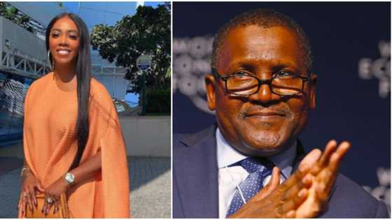 Tiwa Savage: Na so ace Dangote mahaifi na ne, amma kash