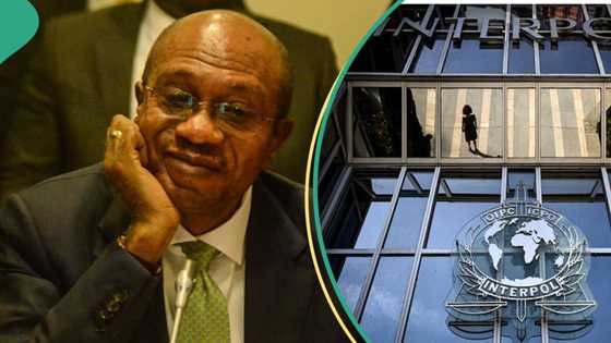 Sata a CBN: Gwamnati ta roki INTERPOL a kama mutum 3 da suka yi amfani da sa hannun Buhari