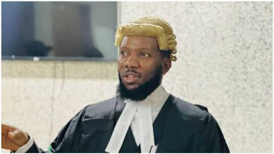BREAKING: Judge sends Nigerian human rights lawyer to prison