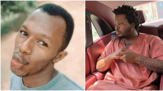“Sign Igbo & Hausa artists to YBNL”: Daniel Regha accuses Olamide of signing only Yoruba singers, many react