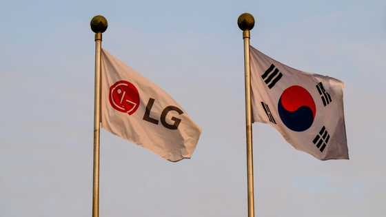 Trump concerned S. Korean arrests could 'frighten' investors