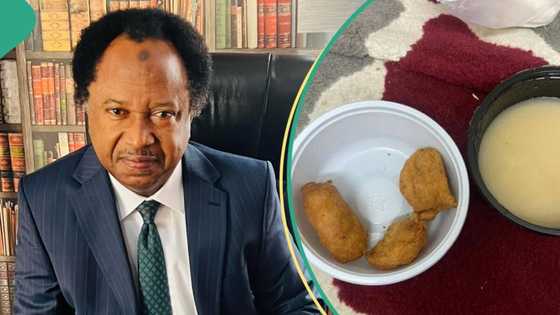 Hajj: Shehu Sani reacts to Poor food quality served to Nigerian pilgrims In Mecca