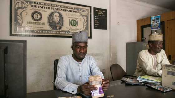 Naira loses more value as demand pressure continues, Expert explains what is going on