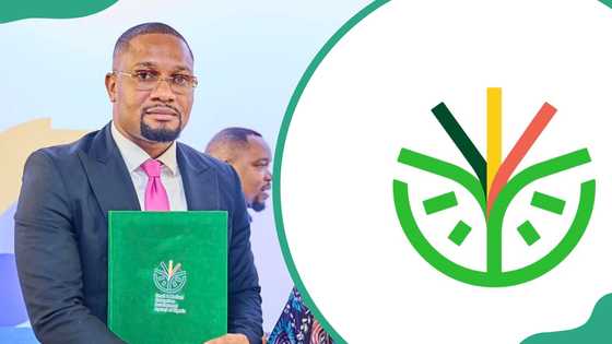 SMEDAN registration form online: Eligibility and how to register