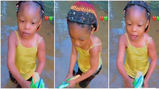 "This water is sweet": Nigerian girl travelles to village and swims in river, viral video emerges on TikTok