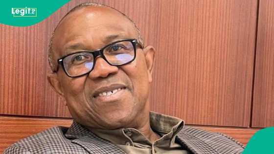 2027 presidency: 3 major options available for Peter Obi