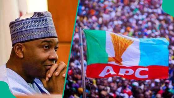 Has ex-Senate president Bukola Saraki secretly left PDP to APC? Here is what we know