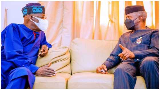 2023 presidency: Between Tinubu's 'lifelong ambition' and Osinbajo's 'Nigerian dream' by Israel Arogbonlo