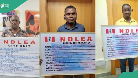 NDLEA arrests wanted suspects, recovers Illicit drugs from microwave, lipsticks