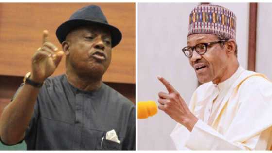 Unemployment: NBS report shows you've been lying to Nigerians, PDP blasts APC