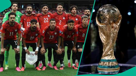 Egypt sends strong message to American police after harassment of players and coach at team hotel
