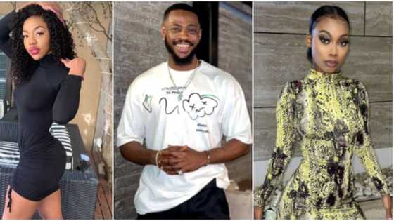 "Yoruba demon": Fans react as BBTitans Yemi shuffles South Africa's Khosi and Blue Aiva
