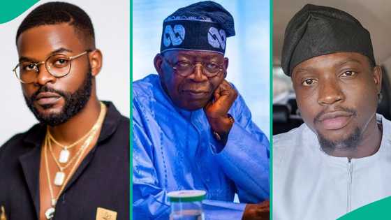2027: Femi Falana's son Falz reacts as AI tips him as potential Nigerian president, gives reasons