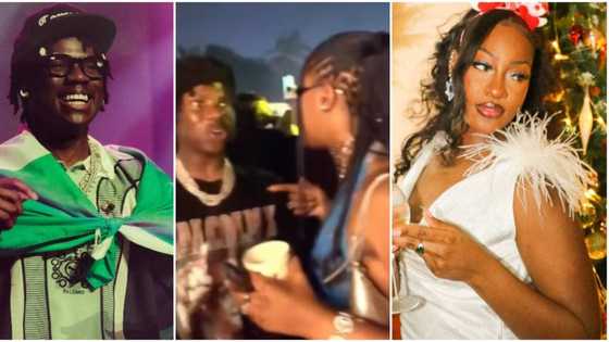 Sweet video of Rema and his celebrity crush Tems at an event in Ghana leaves many gushing