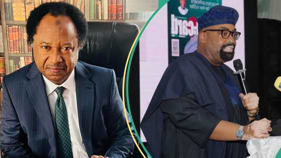 Edo election results: Why no SAN can “Chop” LP Candidate, Akpata’s money, Shehu Sani explains