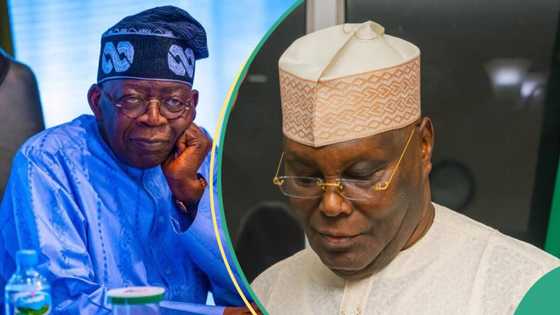APC chieftain pinpoints negative effect of Atiku’s probe of Tinubu’s Chicago University certificate