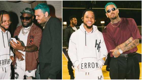Chris Brown invites Davido & Pocolee to baby mama’s private birthday party, video trends: "Love the closeness"