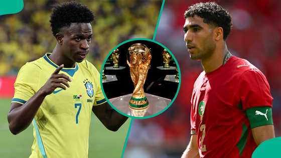 Brazil vs Morocco: Mysterious cat predicts 2026 FIFA World Cup match