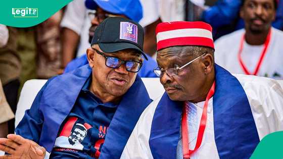 Mabiya Obi sun fadi tsarin da Kwankwaso zai mulki Najeriya a 2031