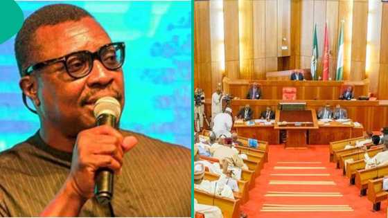Ali Baba lists jaw-dropping price tags to run for political posts: "N1.2bn to win senate seat"