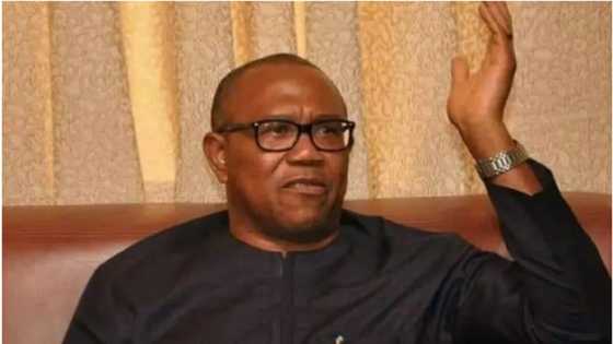 Confusion as Peter Obi outlines on what Nigeria can do with borrowed funds