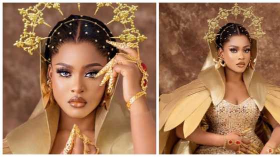 It's giving royalty: BBNaija star Phyna dazzles in golden look in new photos