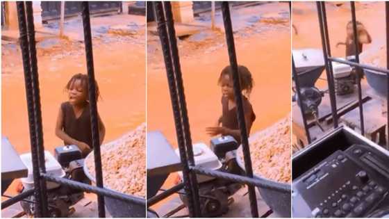 Little boy on dreads performs Bella Shmurda's Triumphant on street as DJ plays, warms hearts in cute video