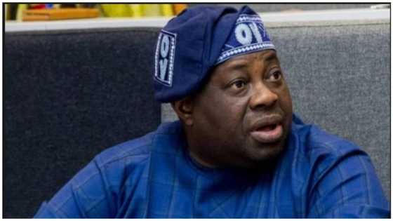 Momodu makes case for young president, tells Nigerians who to vote for in 2023