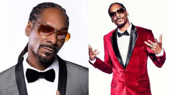 Snoop Dogg sues companies selling his festive season merchandise illegally