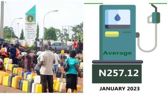 Petrol price in Nigeria jumps by 54% as Southern states pay more than northern states
