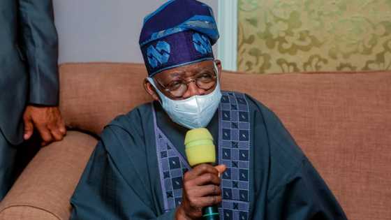 Presidency 2023: What these 5 popular pastors said about Tinubu's ambition