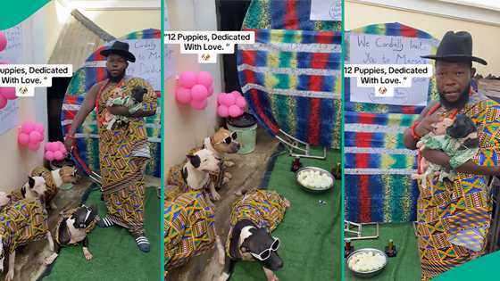 Nigerian man holds dedication ceremony for his 12 Puppies, wears matching Ankara outfits for them