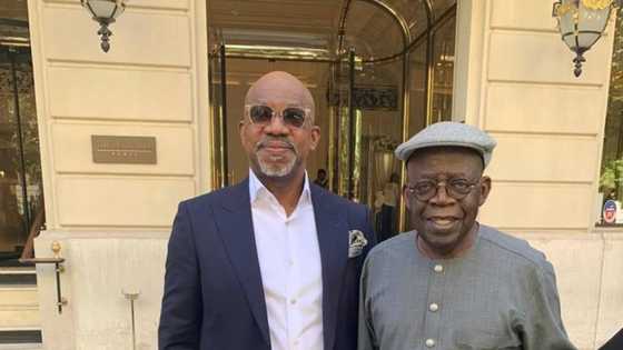 Wani gwamna ya shilla Faransa ya sa labule da Tinubu, Hoton su ya ja hankalin mutane