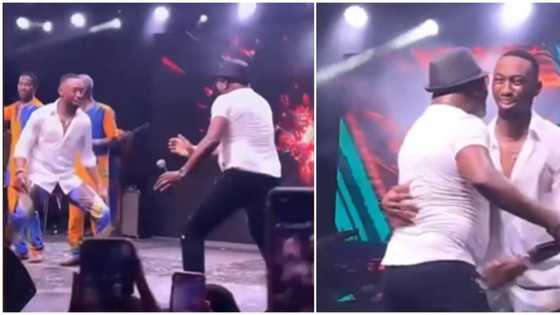 Moment 64-year-old musician Shina Peters battles BBNaija's Saga on stage at event, crowd goes wild in video
