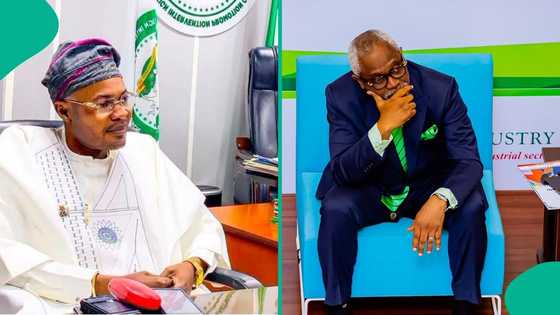 Adeyemi Adeniyi: Abubuwa 7 da suka daure kai game da shugaban ma'aikatar bogi