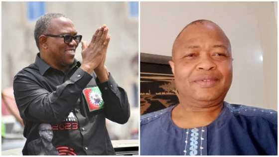 Democratic Leadership Speaks on LP, Where Peter Obi's Presidency Will Take Nigeria To