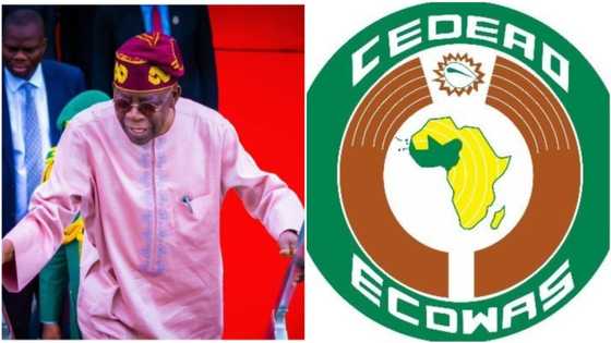 Niger Coup vs ECOWAS: President Tinubu gets fresh warning