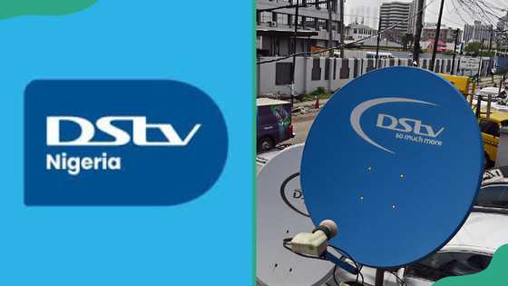 Curious about DStv Compact Plus? Here’s the channel list and how much you’ll pay