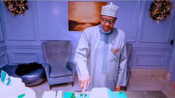 "Birthday is no more than just another day in the office" - Buhari says, sends staff back to work