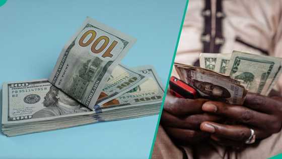 Naira rallies to strongest level in weeks against US dollar