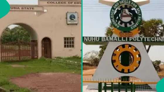 "Corp members earn more than us": Lecturers of 2 top institutions cry out, demand immediate action