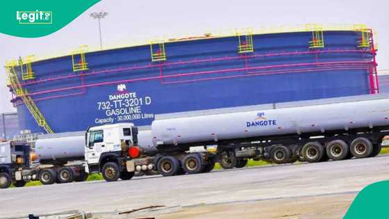 Yakin Amurka da Iran: Matatar Dangote ta yi magana kan yiwuwar samun man fetur a Najeriya