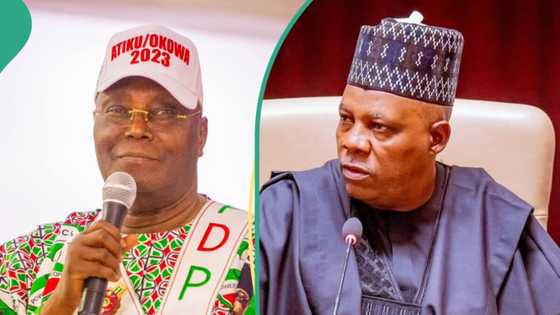 Tribunal verdict: Shettima suffers yet another backlash over comment of retiring Atiku